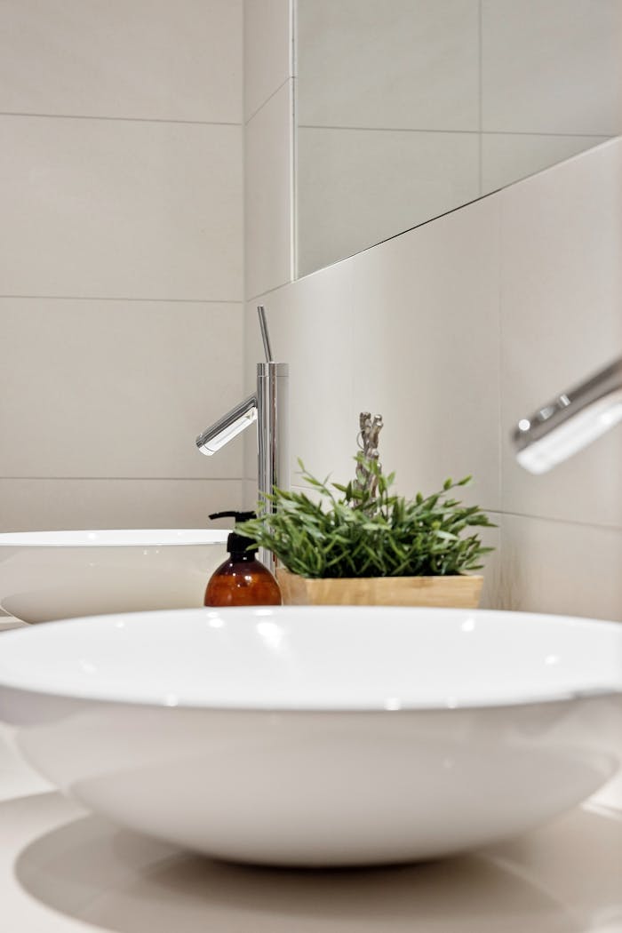 Minimalist bathroom design featuring a white sink, plant, and modern faucet.